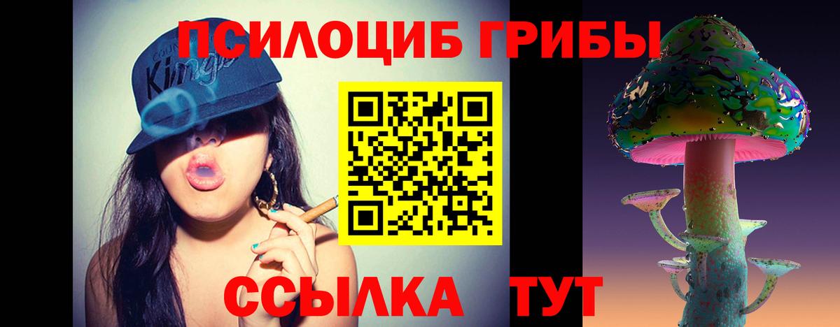 Псилоцибиновые грибы Psilocybine cubensis Кольчугино